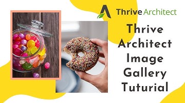 How to add an Image Gallery in Thrive Architect Tutorial