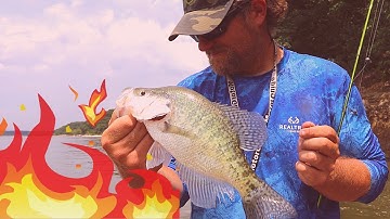 Secret for Catching TOUGH Hot Summer Crappie - How to catch Crappie in Summer