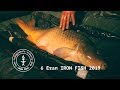 🏆Iron Fish 2019. Водоем Крутая Балка. Часть 2 | Телеканал #Трофей