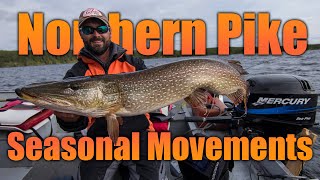 Northern Pike - Seasonal Movements: Summer, Fall And Winter