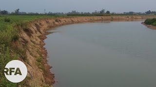 Dân bất lực nhìn đất ruộng mất do sạt lở! screenshot 2