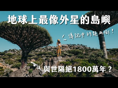 中東最神秘島嶼！終於見到傳說中的龍血樹！地球上最像外星的小島 - 葉門 Socotra Island Vlog