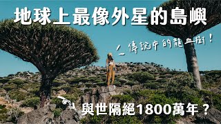 終於見到傳說中的龍血樹地球上最像外星的小島  葉門 Socotra Island Vlog