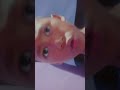 08 brp #fypシ゚viral #animation