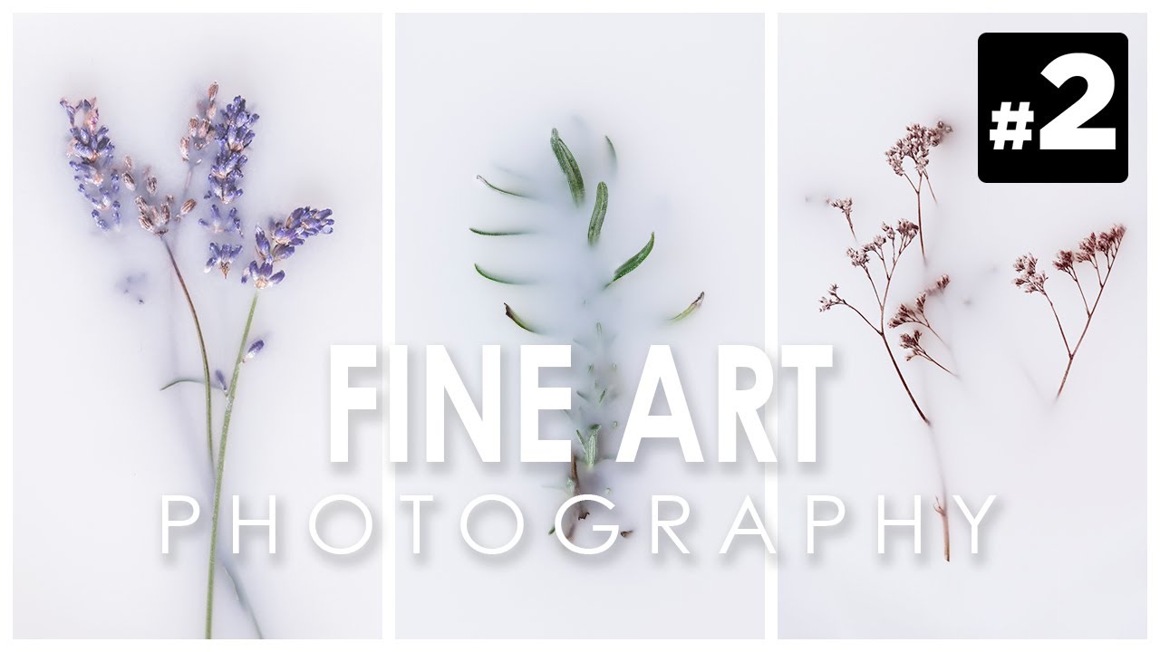 Fine art photography #2: Creative ideas to do at home - Photographing plants and flowers in milk