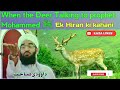 Ek hiran ka waqia || Molana ab rashid dawoodi sahab || Heart touching bayan Mp3 Song