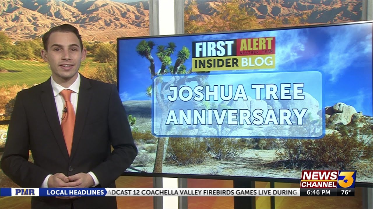 Insider Blog: The 29th anniversary of Joshua Tree National Park 