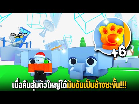 เมื่อคืนสุ่มตัวใหญ่ได้มันดันเป็นช้างซะงั้น!!! Pet Simulator 99 