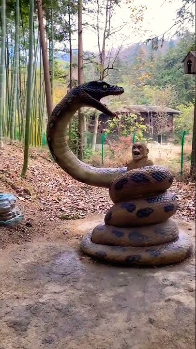 Python Eating Little Monkey - YouTube