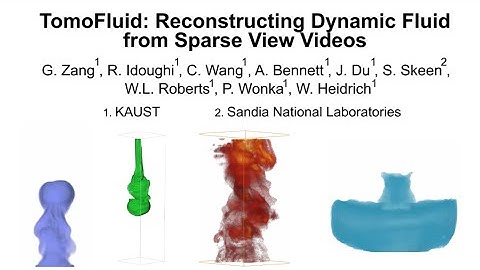 TomoFluid: Reconstructing Dynamic Fluid from Sparse View Videos