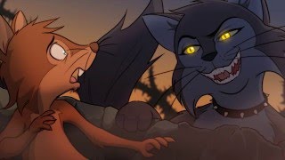 Bomango: The Kindness of Cats
