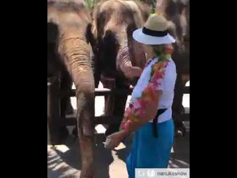 ნანუკა ჟორჟოლიანი