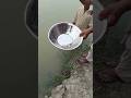 #freefire #fishing #funnyanimal #fish #villagelife