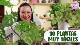 10 PLANTAS DE INTERIOR MÁS FÁCILES DE CUIDAR│Candy Bu