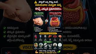 WHY VISCERAL FAT DANGER #shorts #shortvideo #health #habitsthatchangeyourlife #exercise