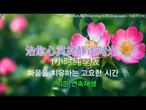 사랑의 잔상: 6단계의 감정적 잠식 (다국어 버전 Vol.1: 중국어) 爱情的残像：情感蚕食的六个阶段 (多语言系列 Vol.1: 中文版)