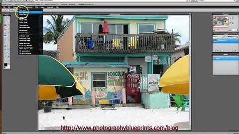 Pixlr Image Editor-Spot Color Technique