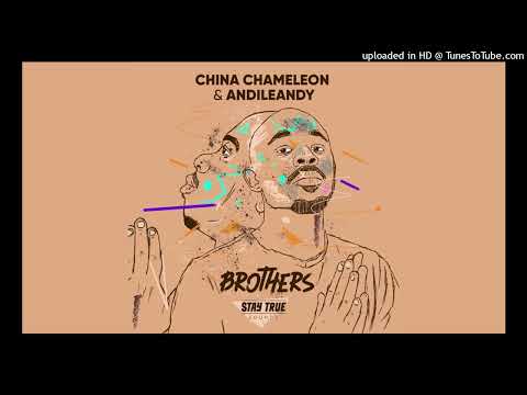 China Charmeleon AndileAndy