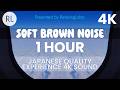 ​[Official/4K]Deep Sleep Brown Noise(1H)Airplane Cabin Sound by Nemureru Noise©:ADHD/Insomnia Relief