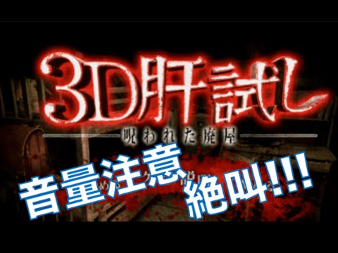 【3D肝試し】大絶叫!!ホラーゲーム実況【音量注意】