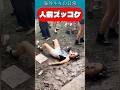 人前ズッコケ/ Public fails #恥ずい #赤面 #ズッコケ #ハプニング