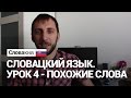 Урок 4. Словацкий язык. Похожие слова