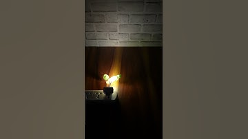 Automatic Sensor Bed Light Mushroom Shape