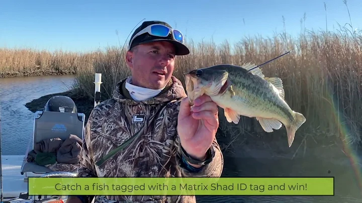 DockSide TV "Ice Cold Bass"