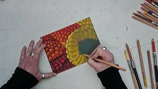 Texture Thursdays - Texture Study 52 - Raspberries in Soft Pastels (Longer Version)