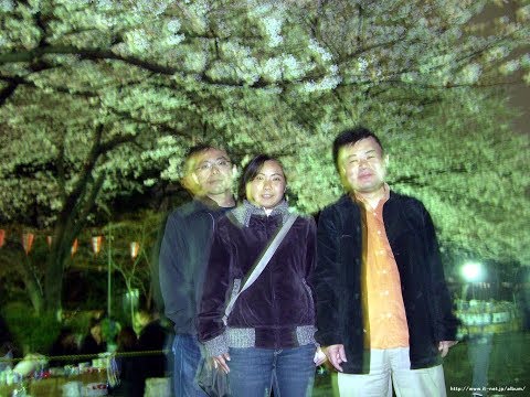 2006年の桜 (平成18年) 上野公園・靖国神社・外濠公園・千鳥ヶ淵公園・飯田橋・皇居外苑 