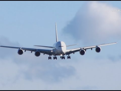 Live Planes - All Aboard