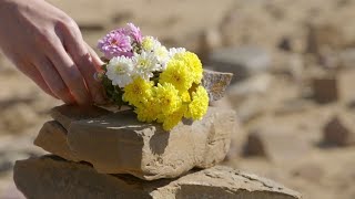 Descendants of the Sun - I Will Think of You - Laura Browne Sorenson