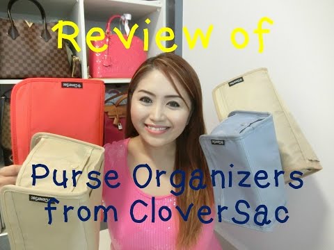 LV Speedy B 25 Review  CloverSac Bag Organiser 