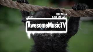 Nick Nolan - Black Cat Smile (Garage Blues 2016) chords