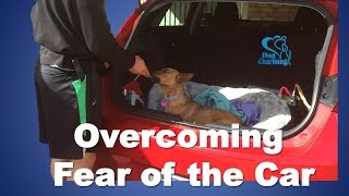 Overcoming Fear of Getting in the Car (Dog Charming)