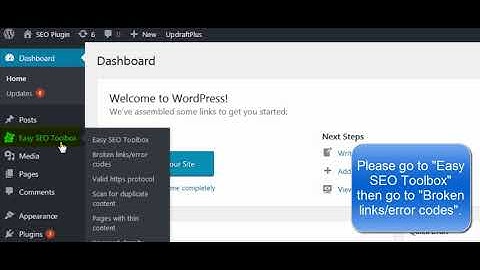 Easy SEO Toolbox Broken Links Tutorial