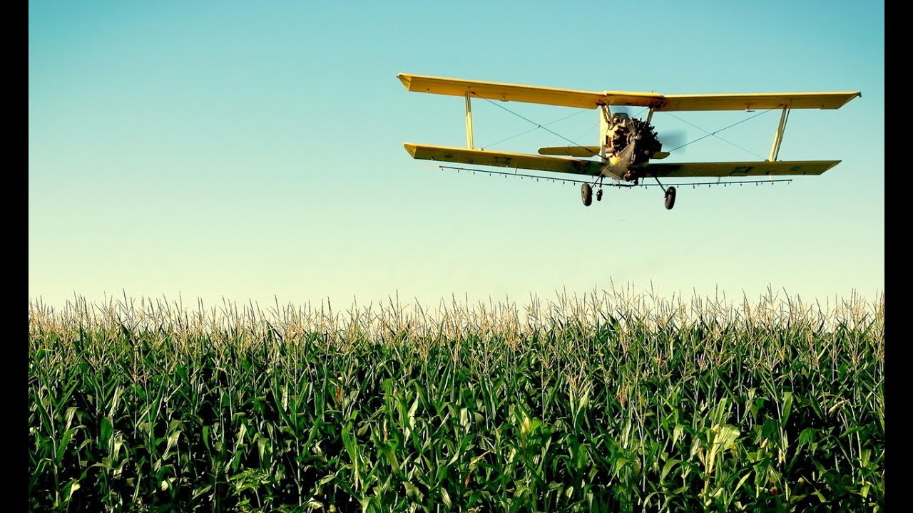 Над полями над лесами да ещё над рыбаками - YouTube