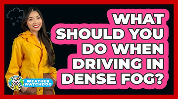 What Should You Do When Driving In Dense Fog? - Weather Watchdog