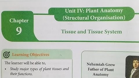 11th std Botany  chapter 9  unit 4 plant anatomy // All book back answers 