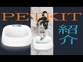 【PETKIT】おしゃれなお皿、紹介します。