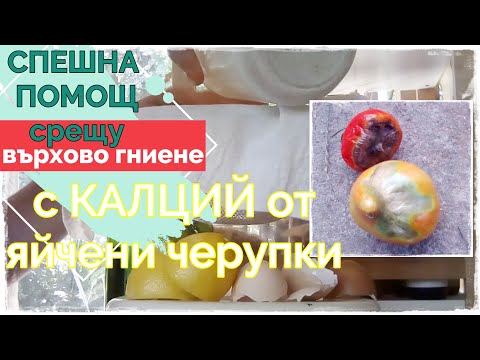 Видео: Черупки от яйца срещу градински вредители