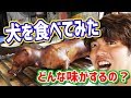 【閲覧注意】ベトナムで犬の肉を食べてみた  I ate dog meat...