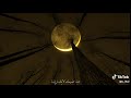 مو انه ياحزن شكد مقهورة ع فراقك ياعمو حسين مو انه ياحزن شكد مقهورة ع فراقك ياعمو حسين