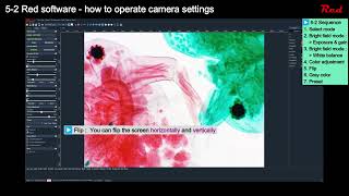Red Analysis software / 5-2 How to set up and adjust the camera (Left menu window)