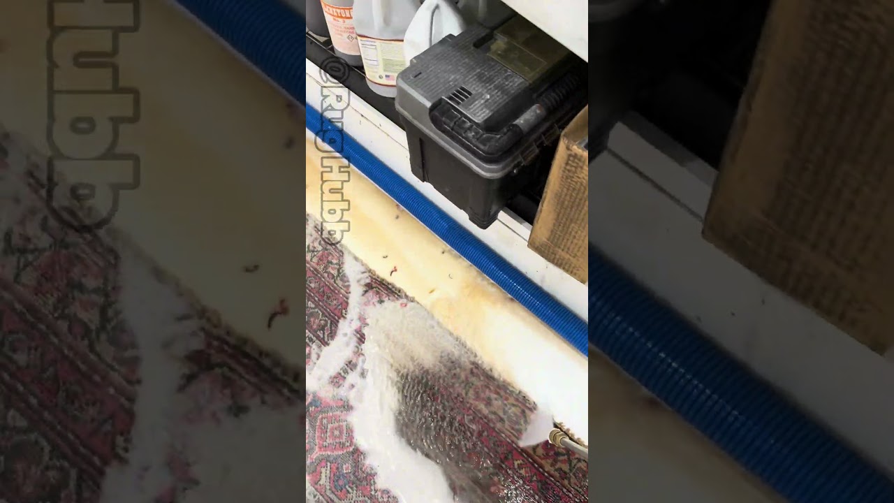 Will I have to pay to replace this rug?