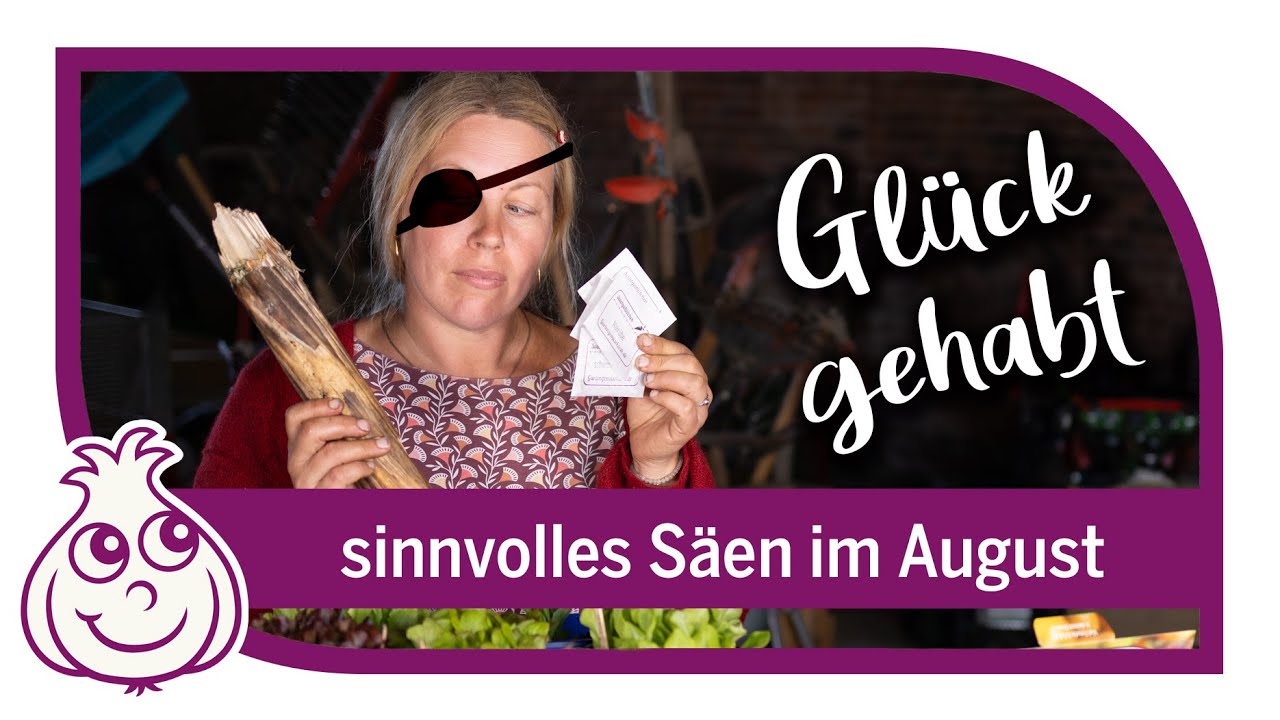„Nimm unbedingt den Bohrer mit, die Erde ist härter als letztes Mal“, sagte der Gärtner noch. Aber ich dachte, ein paar kräftige Schläge reichen schon. Dann brach das Metall und knallte mir direkt...
