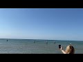 Дельфины приплыли на пляж к отдыхающим в Анапе