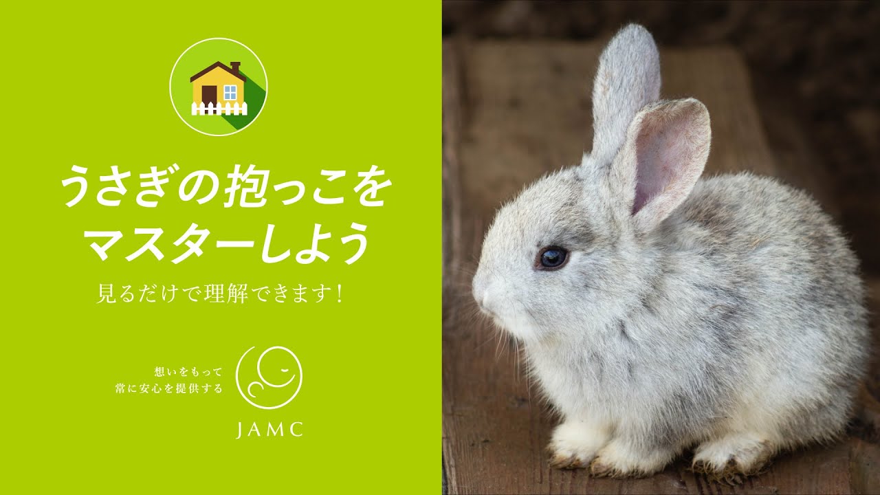 うさぎ抱っこをマスターしよう 渋谷区の動物病院なら日本動物医療センター