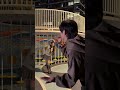 第一件就是为你写诗｜子笺子凛