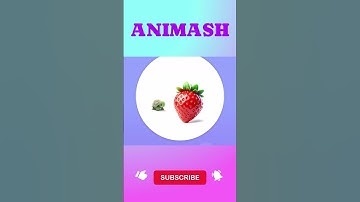 TURTLE VS STRAWBERRY  |Animash| #animash #tiktok #fusion #tiktok #gaming #capcut #trending #roblox